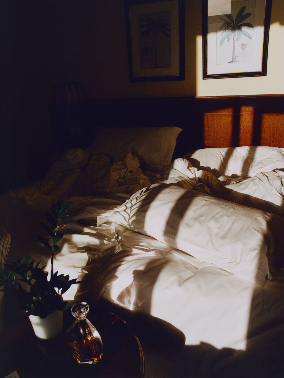Late sun falling in stripes across an unmade bed, a botanical print on the wall above