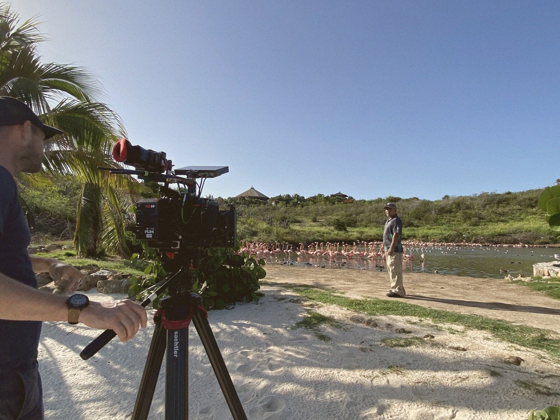 The crew filming flamingos across a lagoon from the sand