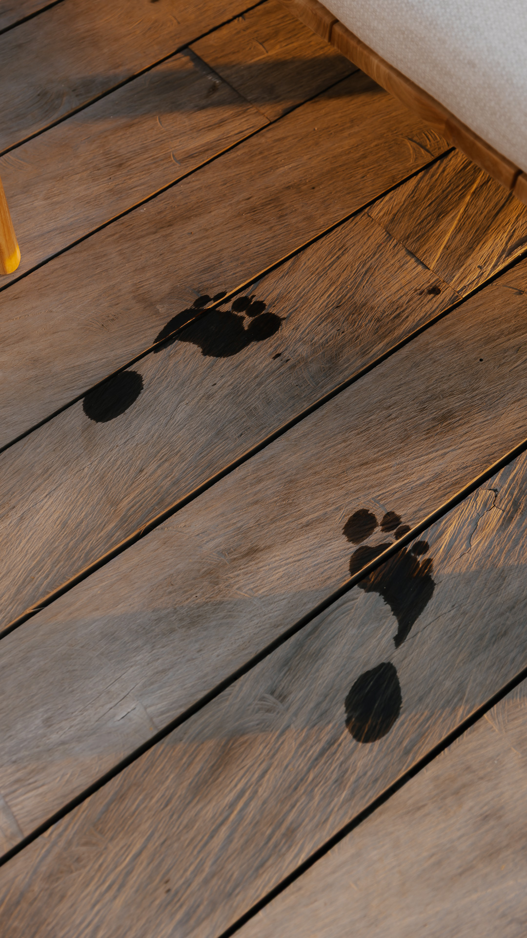 Wet footprints drying on the timber deck at Zambala